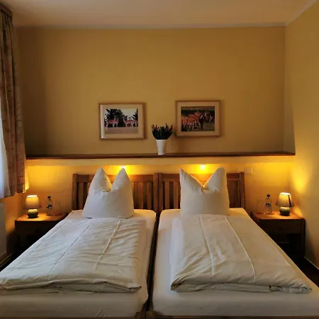 Zur Fledermaus Guest house Waren (Mueritz)