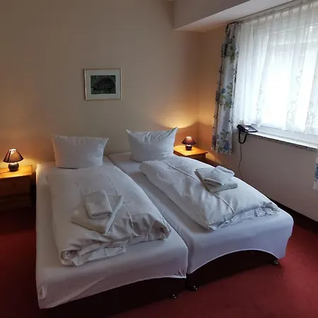 Zur Fledermaus Guest house *